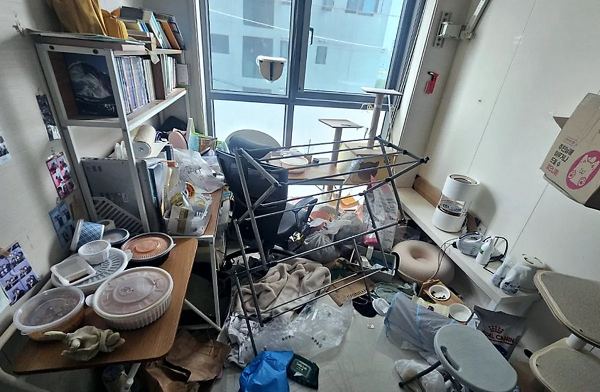 정리 전 창가 방 — 넘어진 빨래건조대 위로 담요·비닐봉지·양말이 뒤엉키고 캣타워 두 개와 사료 포대가 놓인 모습