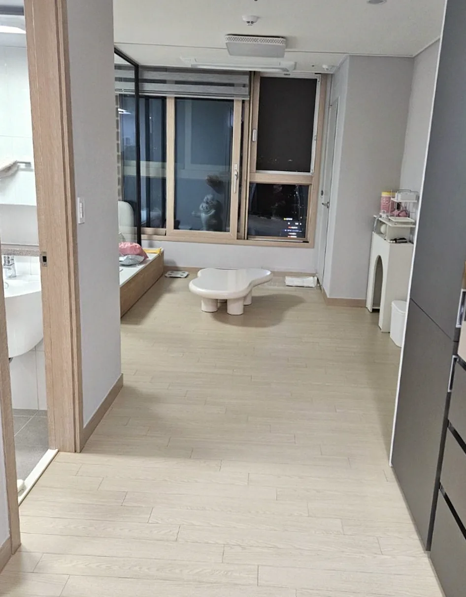 쓰레기를 걷어 낸 거실 — 구름 모양 테이블과 강아지 간식이 놓인 수납장