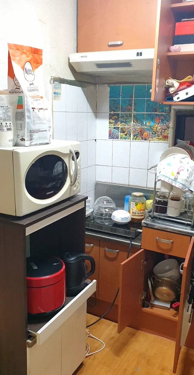 서울 신월동 주택 주방 이사폐기물 정리 — 전자레인지·사료 봉지가 있던 렌지대 자리를 비움 작업 전