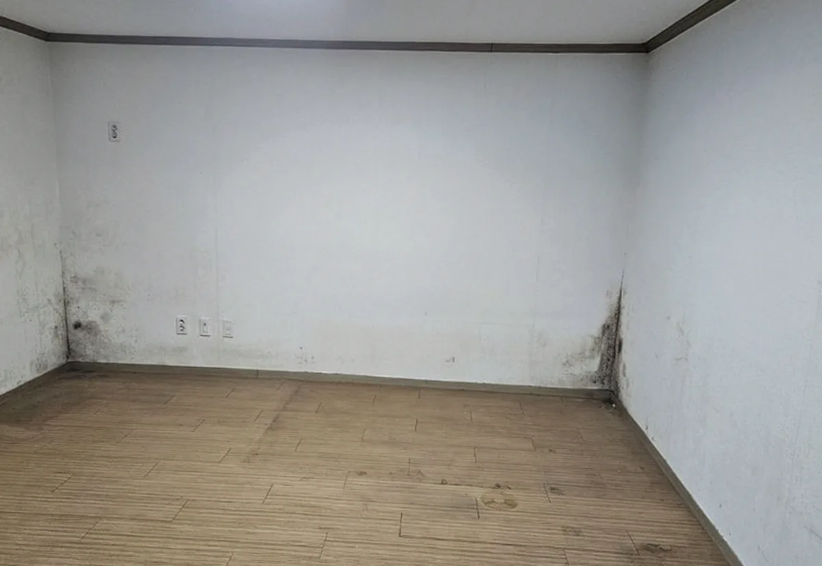 짐을 뺀 방 — 벽 아래 모서리에 드러난 검은 곰팡이 얼룩